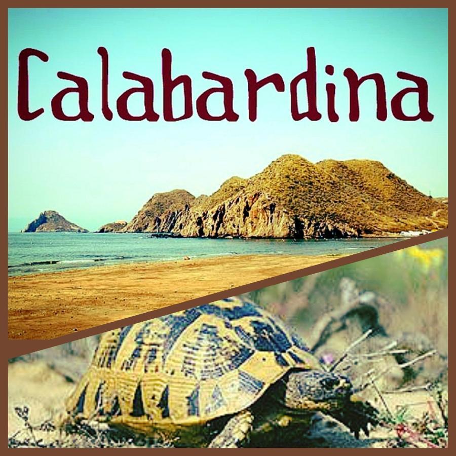 Residencia Tortuga Mora Lägenhet Calabardina Exteriör bild